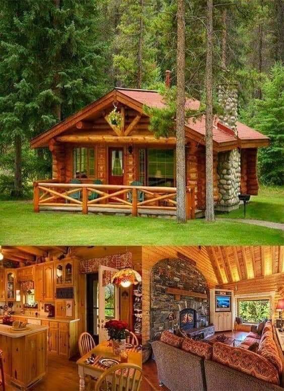 Fantastic Cabin Design Ideas 6